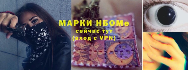 ECSTASY Гусь-Хрустальный