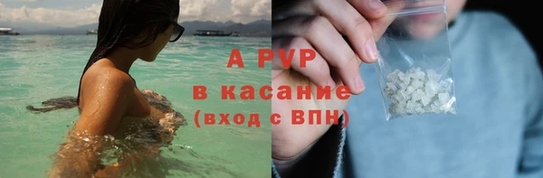Альфа ПВП Гусев