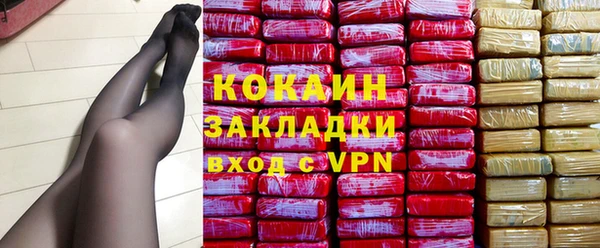ECSTASY Гусь-Хрустальный