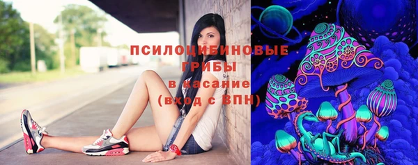 Альфа ПВП Гусев