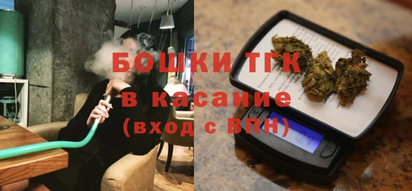 ECSTASY Гусь-Хрустальный