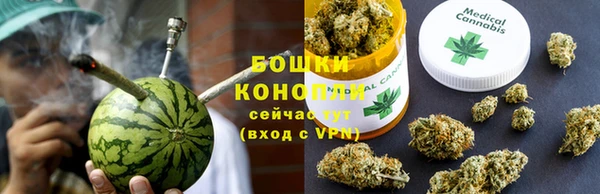 ECSTASY Гусь-Хрустальный